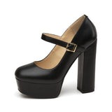 Chunky-Heel Platform Mary Jane Shoes