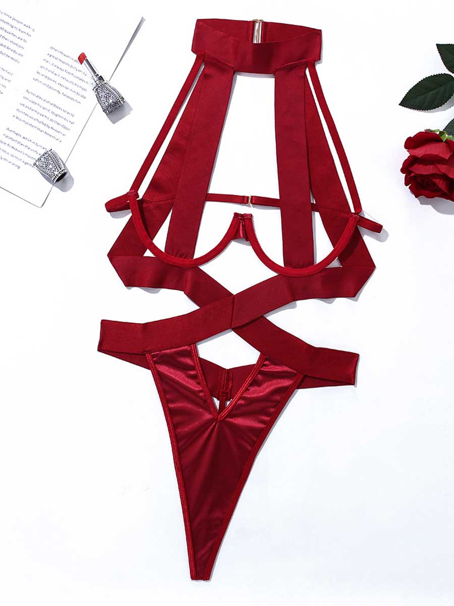 Shibari Teddy Suit