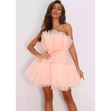 Bandeau Mesh Bow Pompadour Mini Dress