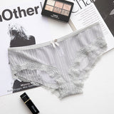 5pack Lace Trim Mesh Panty Set Aosig