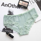 5pack Lace Trim Mesh Panty Set Aosig