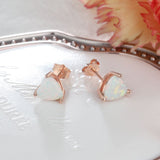 Elegance heart-shaped earrings Aosig