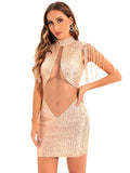 Elegant Fringed Sequins See-through Evening Dress Aosig