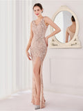 Elegant party long evening dress Aosig