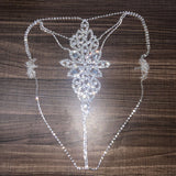Exclusively For Body Chain Rhinestone Flower Bra And Panties XG2179(Suitable for all sizes) Aosig