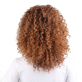 Gradient color small short curl  wig cover Aosig