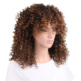 Gradient long curly wig Aosig