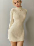 High Neck Long Sleeve Slim Fit Hip Dress