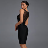 Round Neck Sleeveless Mesh Mini Bandage Dress PP091425 Aosig