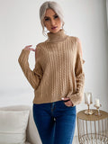 Solid Color Turtleneck Sweater Aosig