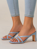 Thin Strap Chunky Heel Sandals Aosig